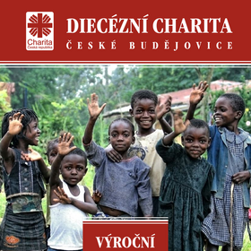 Výroční zpráva 2011