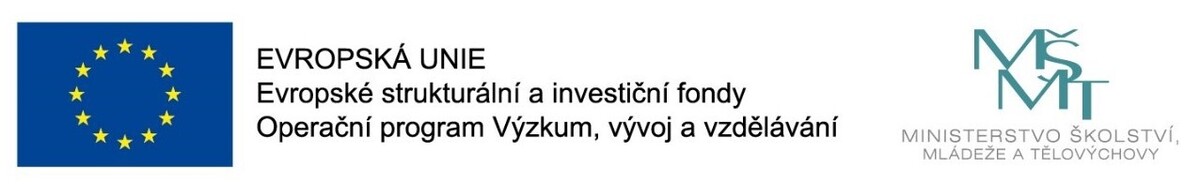 YC v ČR YC v ČR
