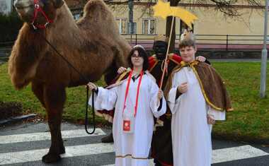 Koledníci v Kaplici s velbloudem