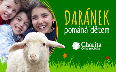 Daranek_2022_banner_slider_maly_380x235