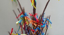 Pomlázky pro Charitu