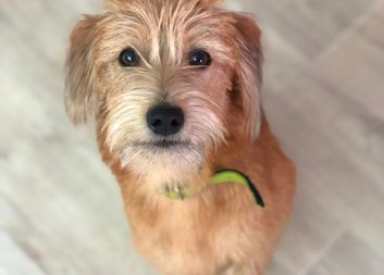 Jak na dluhy poradil kurz finanční gramotnosti