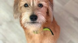 Jak na dluhy poradil kurz finanční gramotnosti