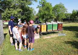 poznáváme život včel