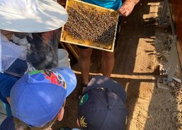 včel se nemusíme bát