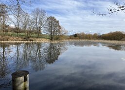 proutky z krásné jihočeské přírody