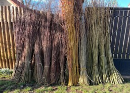 proutí na pomlázky