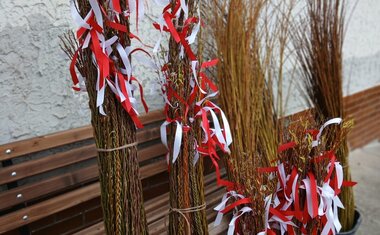 pomlázky mířící do Tábora