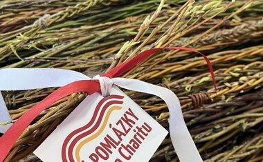 pomlázky pro Charitu