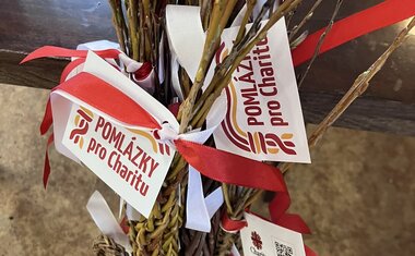 pomlázky pro Charitu