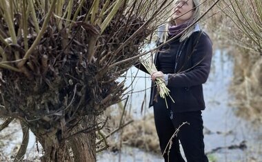 střihání prutů na pomlázky