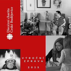 Výroční zpráva 2025